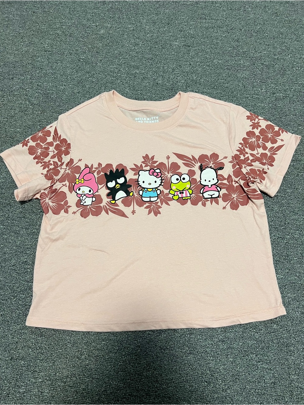 Sanrio Pink Crop Floral Character Tee Adult S